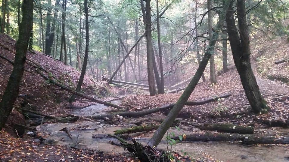 Camper-submitted photo at Manistee River Bridge Campground near Grayling, MI