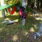 Review photo of Manistee River Bridge Campground by Christian V., October 18, 2016