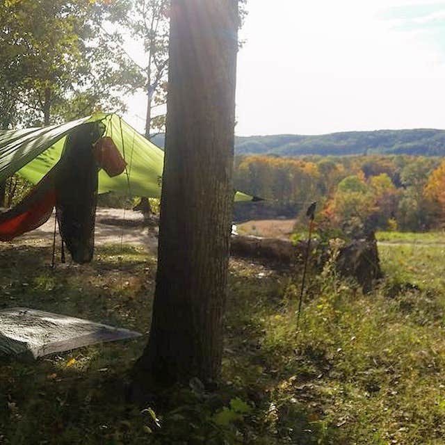 Camper submitted image from Manistee River Bridge Campground - 1