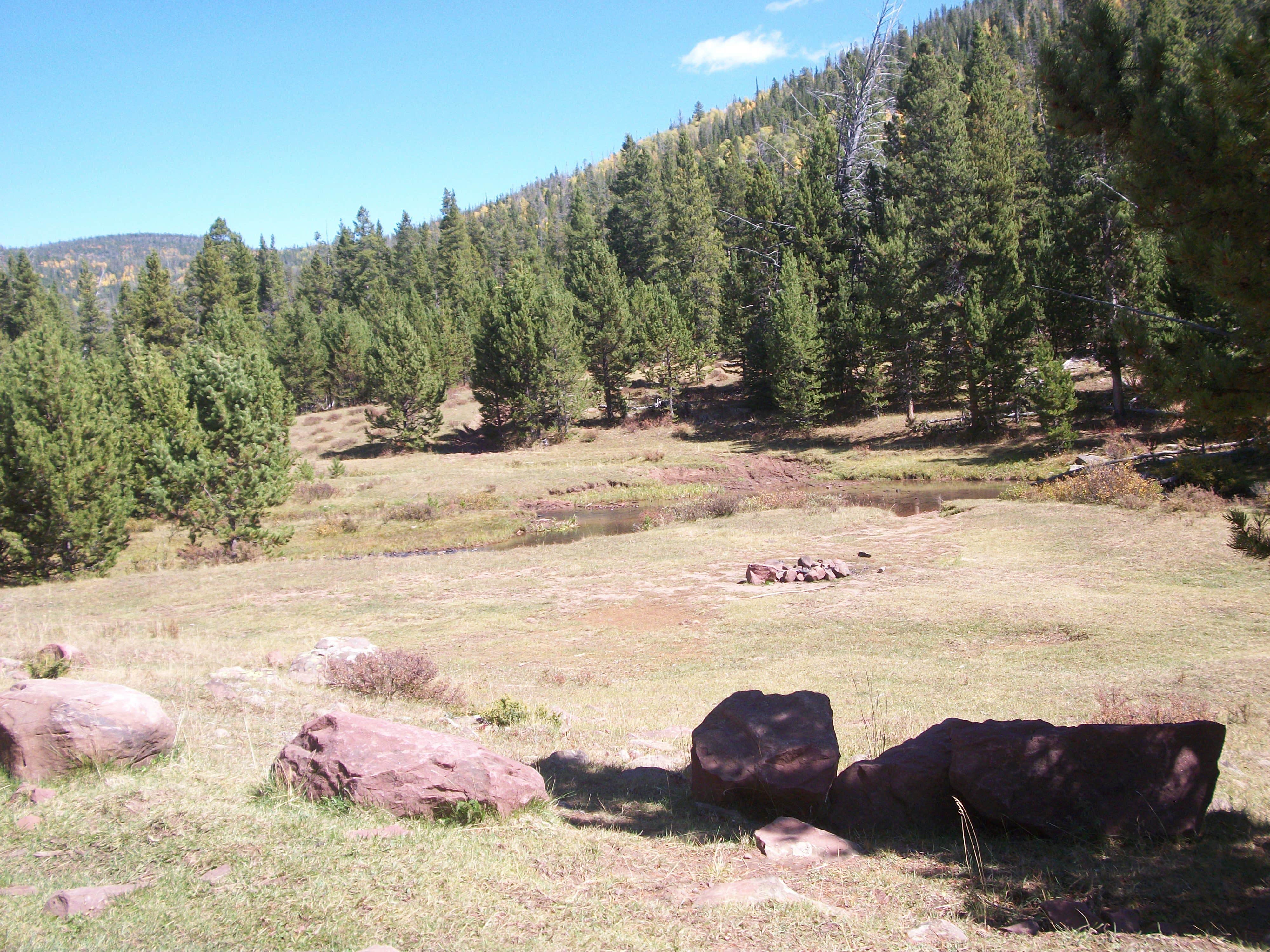 Camper submitted image from Dyer Park FS Rd #547 Dispersed Camping Area - 4