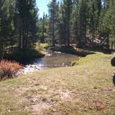 Review photo of Dyer Park FS Rd #547 Dispersed Camping Area by Cortney M., October 19, 2016