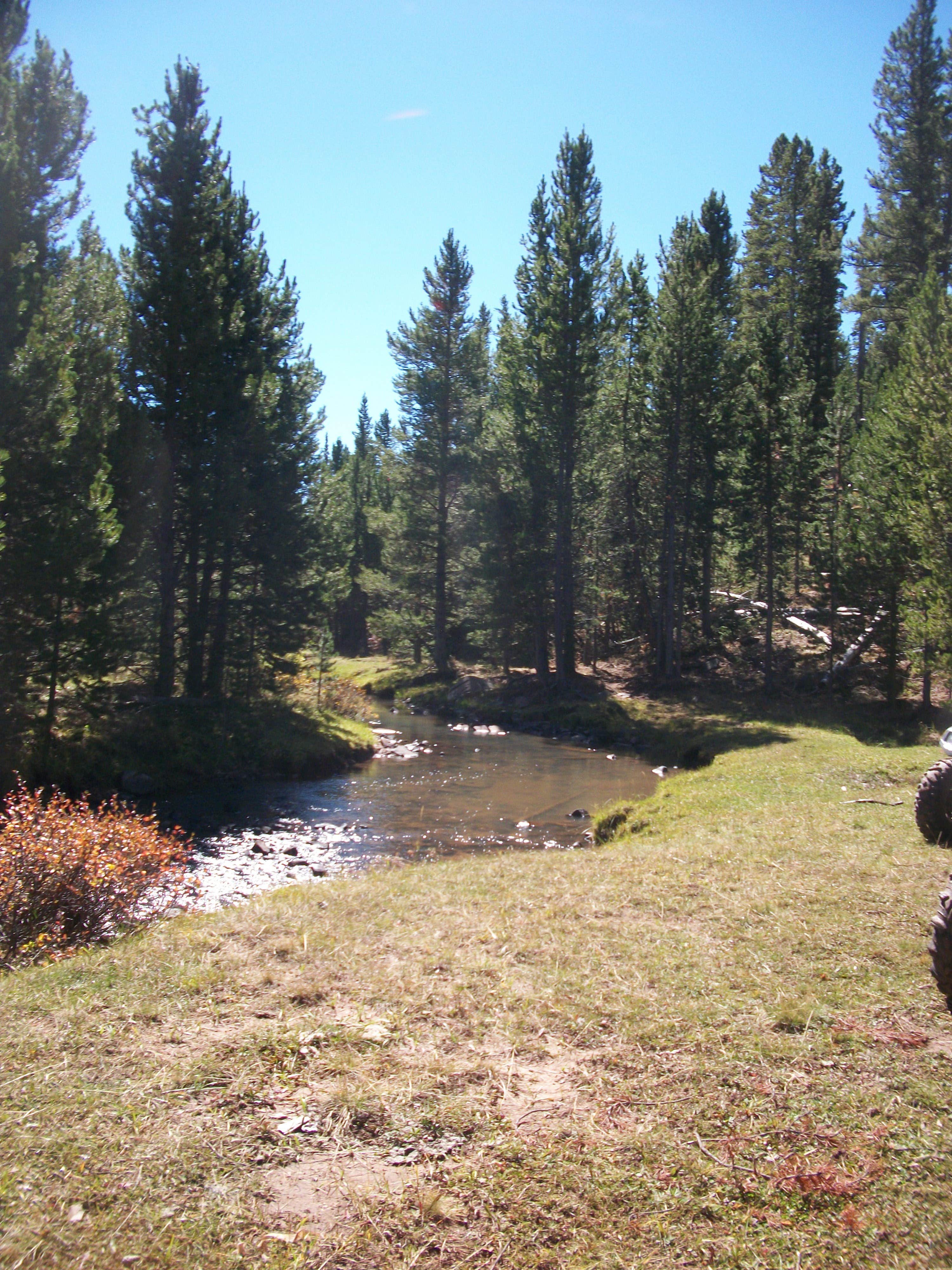 Camper submitted image from Dyer Park FS Rd #547 Dispersed Camping Area - 1