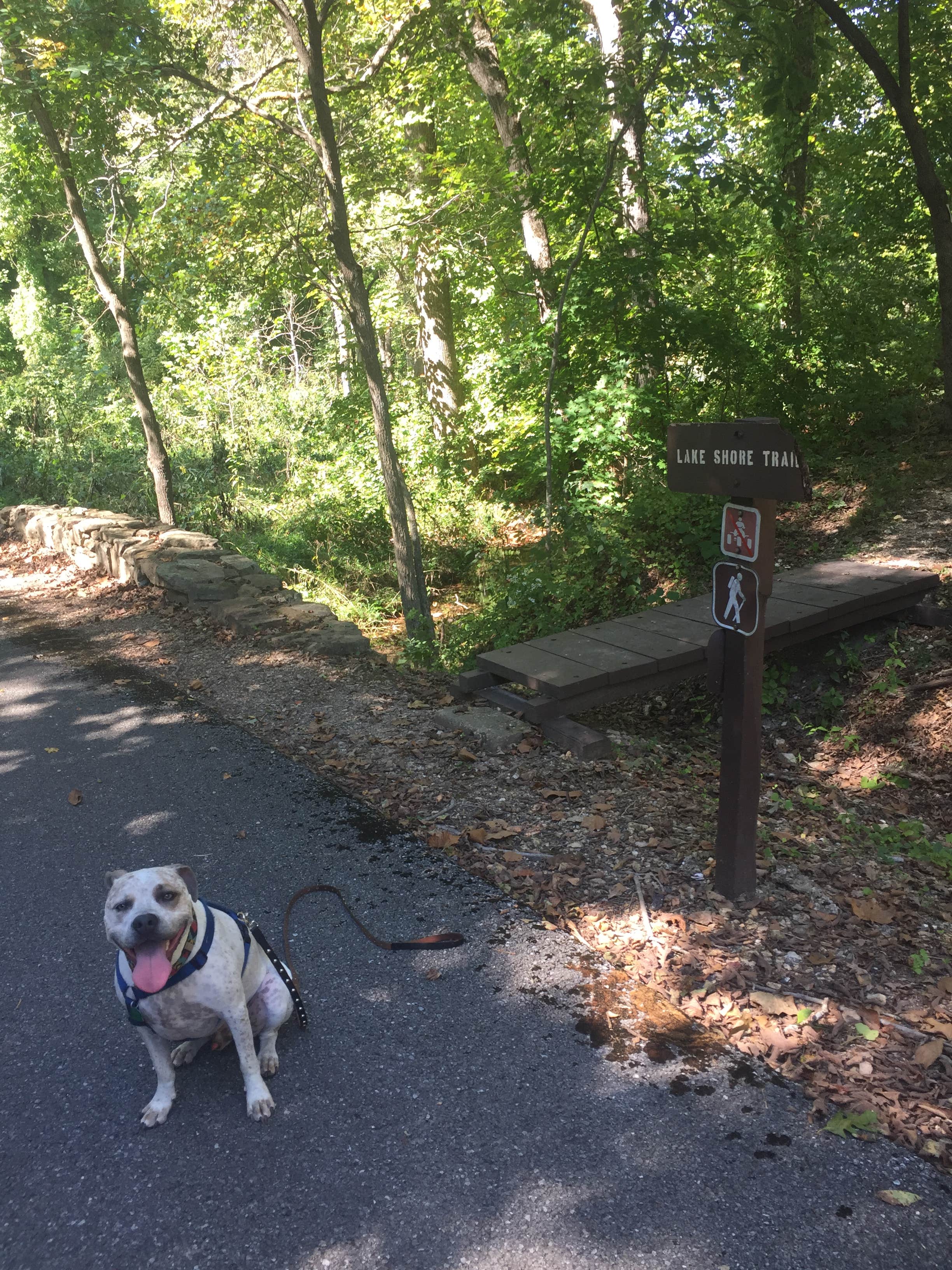Beth M.'s photo of camping with pets at Lake Wedington -- Temporarily CLOSED near Cave Springs, AR