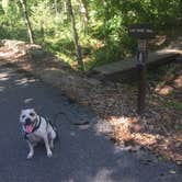 Review photo of Lake Wedington -- Temporarily CLOSED by Beth M., October 19, 2016