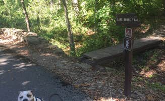 Beth M.'s photo of camping with pets at Lake Wedington -- Temporarily CLOSED near Lincoln, AR