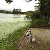Review photo of Lake Wedington -- Temporarily CLOSED by Beth M., October 19, 2016