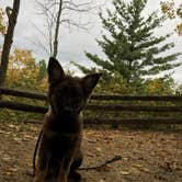 Review photo of Wildcat Mountain State Park Campground by Kristina K., October 21, 2016