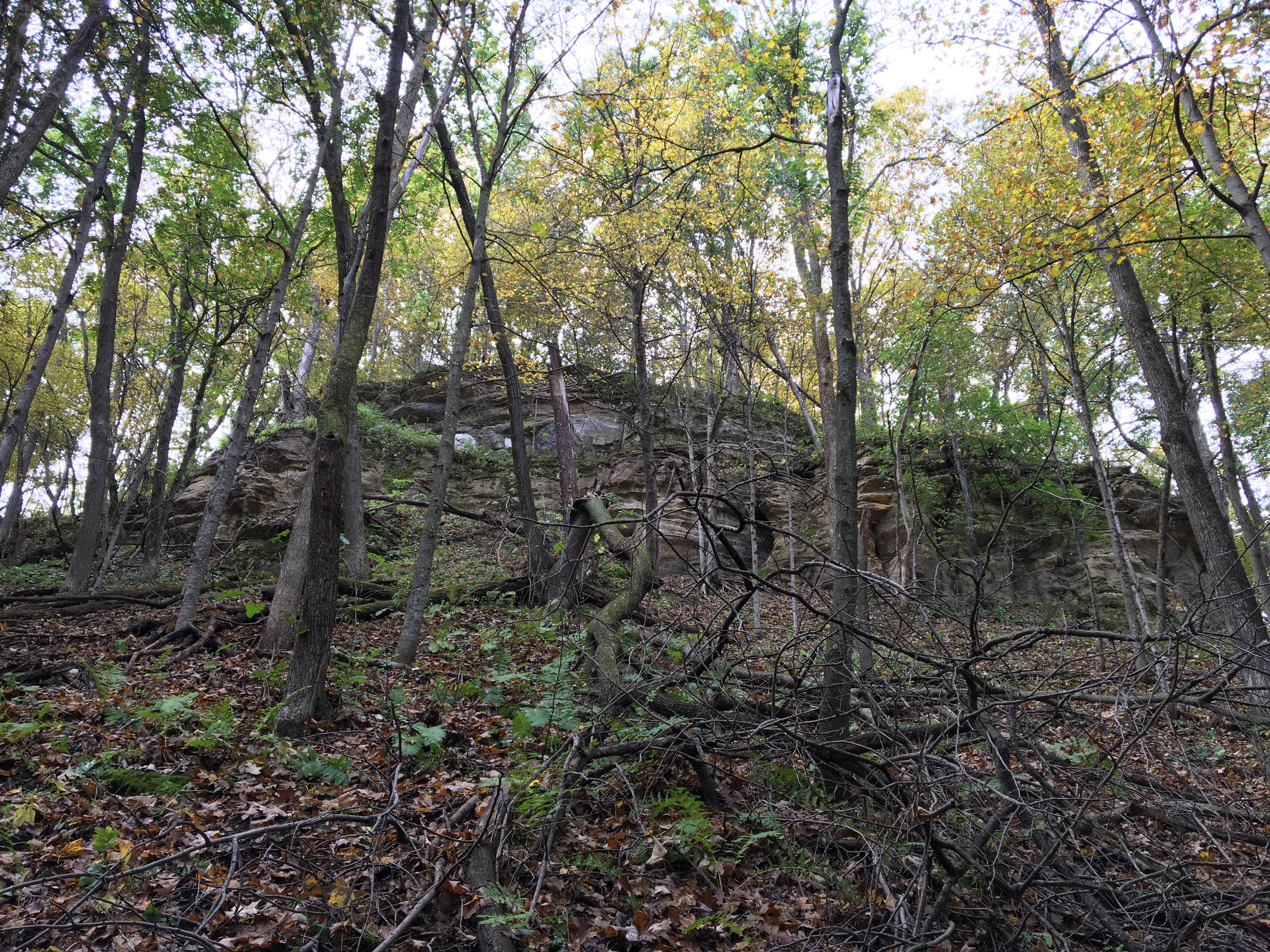 Camper submitted image from Wildcat Mountain State Park Campground - 2