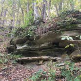 Review photo of Wildcat Mountain State Park Campground by Kristina K., October 21, 2016