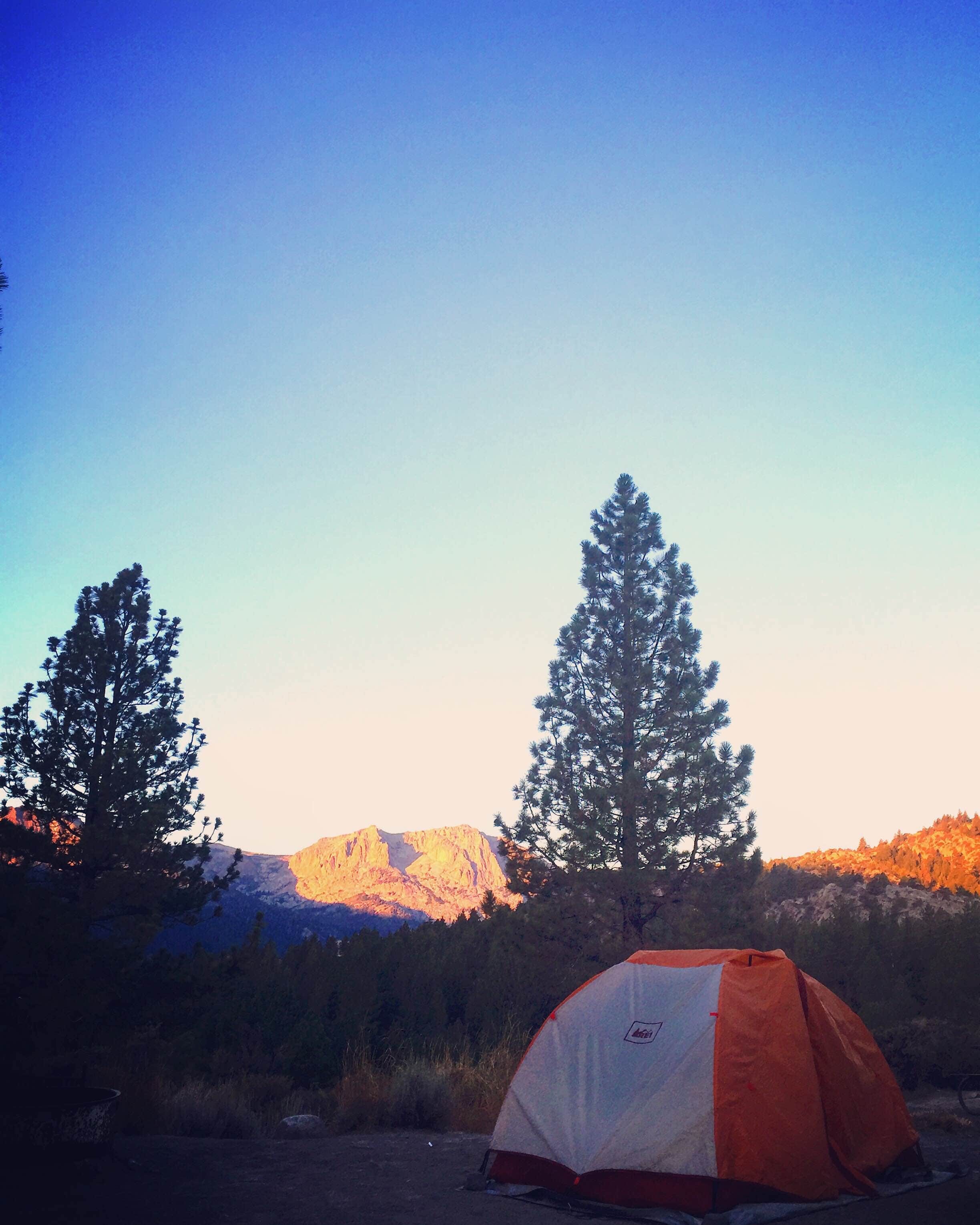 Kara S.'s photo at Oh Ridge near June Lake, CA