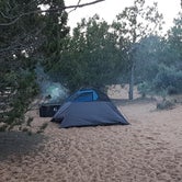 Review photo of Coral Pink Sand Dunes State Park Campground by Sarah R., October 21, 2016