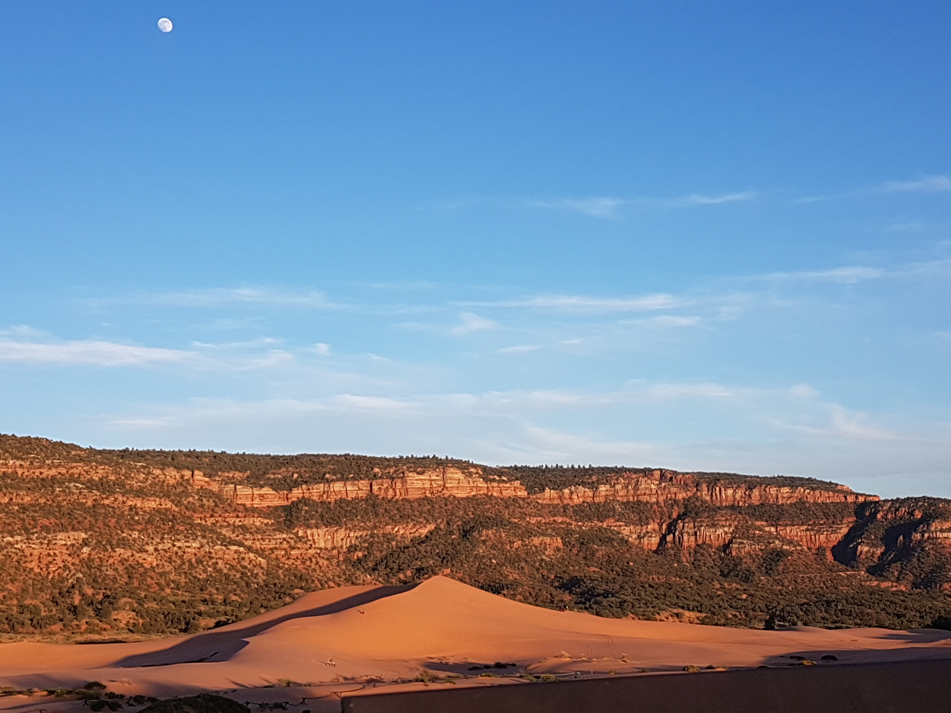 Camper submitted image from Coral Pink Sand Dunes State Park Campground - 2