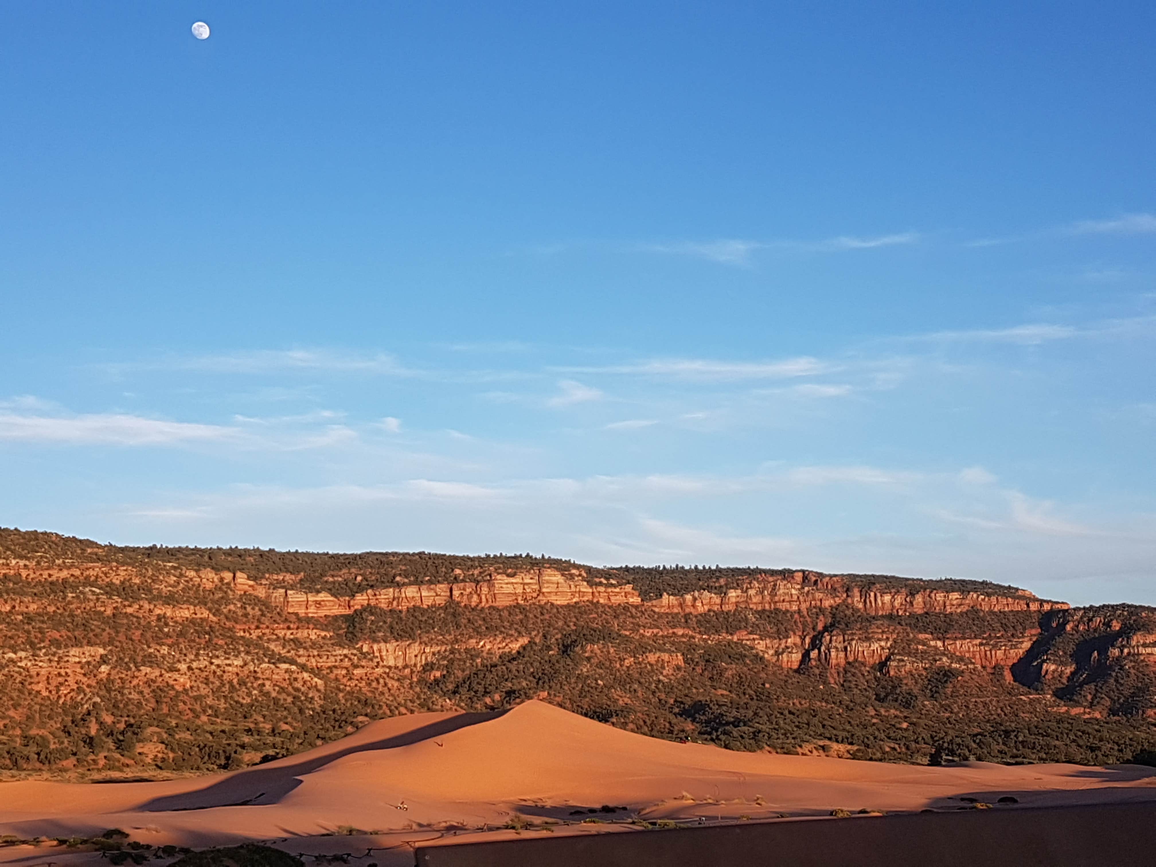 Camper submitted image from Coral Pink Sand Dunes State Park Campground - 2