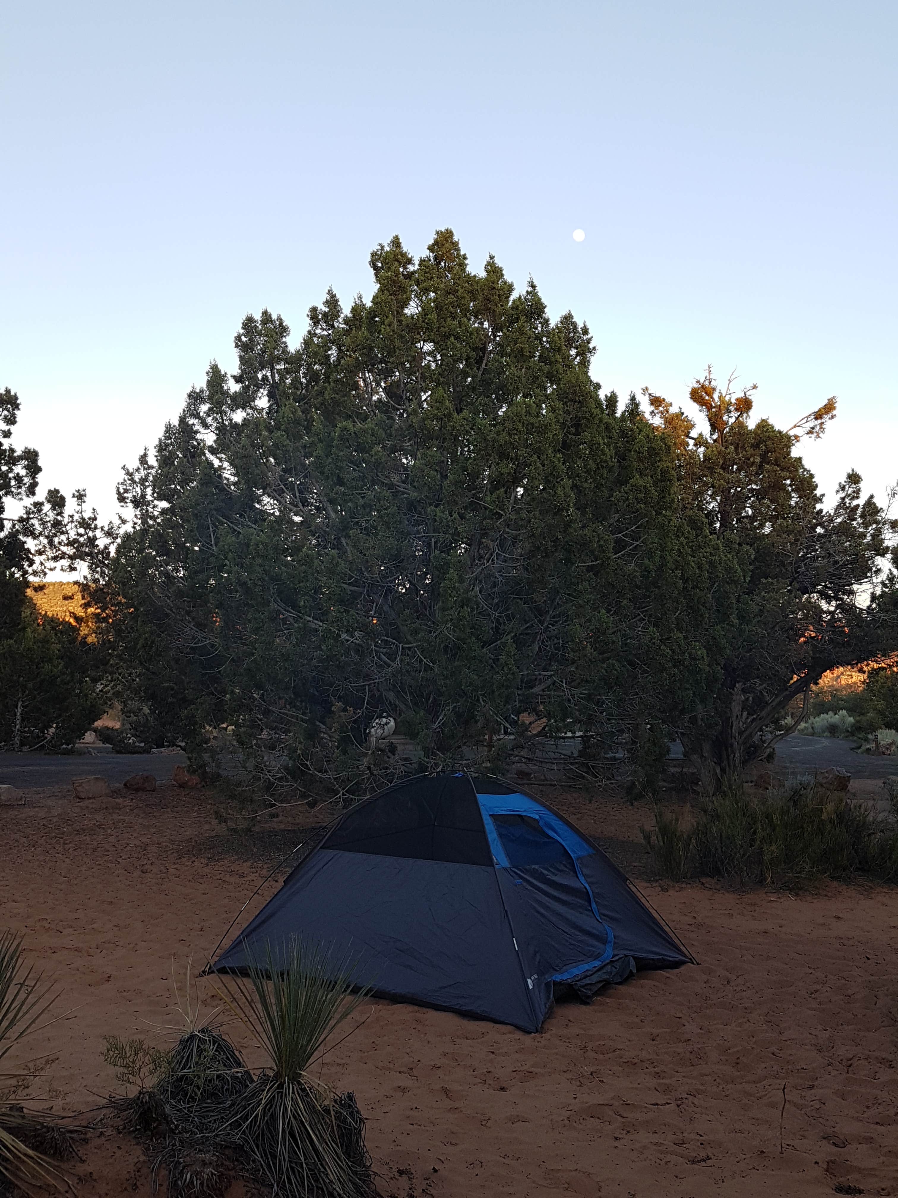 Sarah R.'s photo at Coral Pink Sand Dunes State Park Campground near Colorado City, AZ