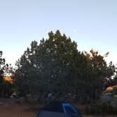 Review photo of Coral Pink Sand Dunes State Park Campground by Sarah R., October 21, 2016