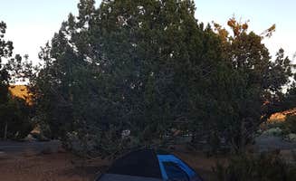 Sarah R.'s photo at Coral Pink Sand Dunes State Park Campground near Colorado City, AZ
