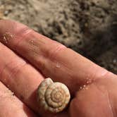 Review photo of Dunewood Campground — Indiana Dunes National Park by Christian V., October 21, 2016
