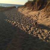 Review photo of Dunewood Campground — Indiana Dunes National Park by Christian V., October 21, 2016