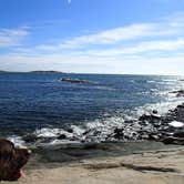 Review photo of Schoodic Woods Campground — Acadia National Park by Gary G., October 22, 2016