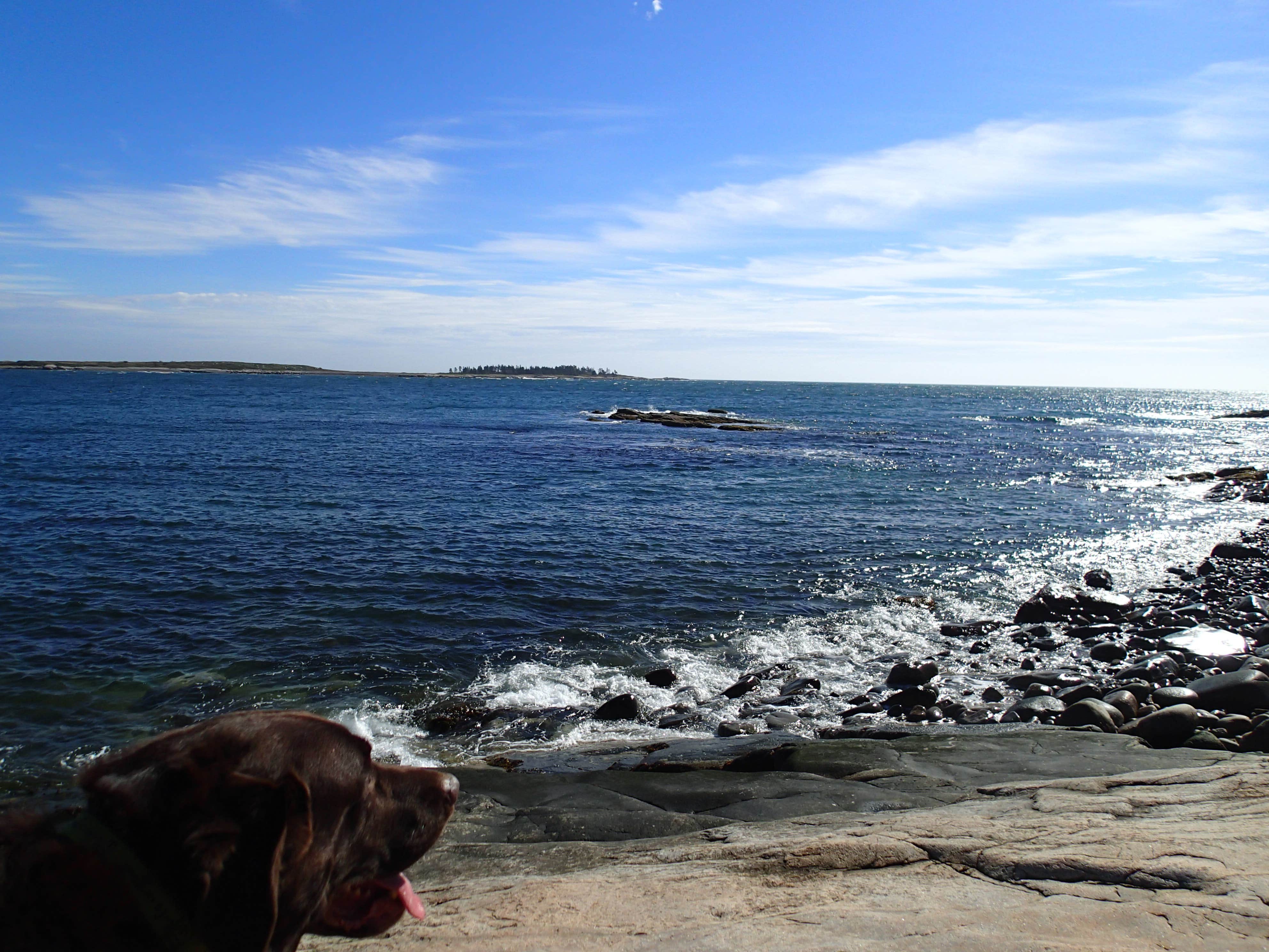 Camper submitted image from Schoodic Woods Campground — Acadia National Park - 2