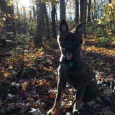 Review photo of Blue Mound State Park Campground by Kristina K., October 22, 2016