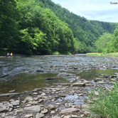 Review photo of Colton Point State Park Campground by Marisa L., October 26, 2016