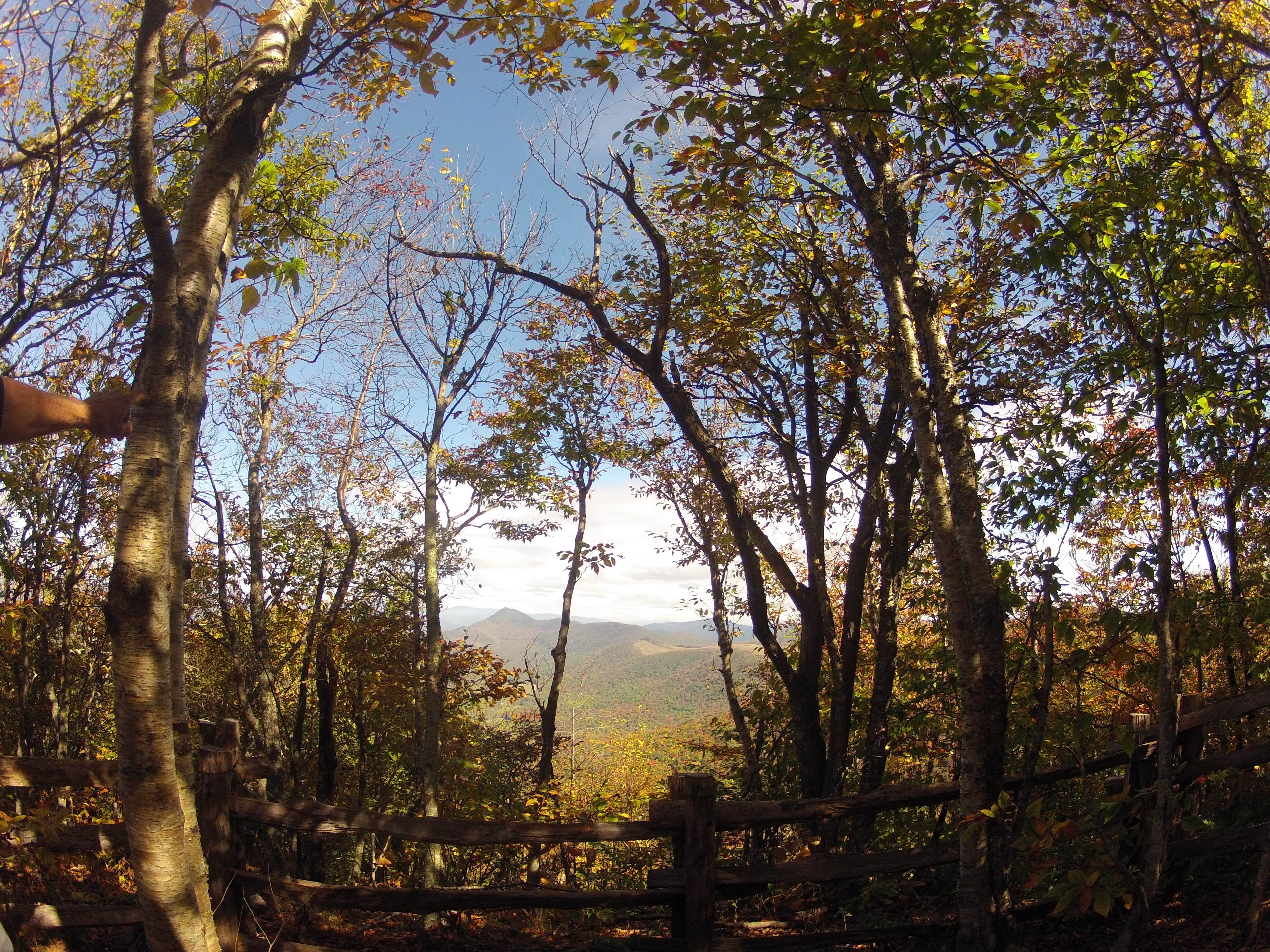 Camper-submitted photo at Elk Knob State Park Campground near Glade Spring, VA