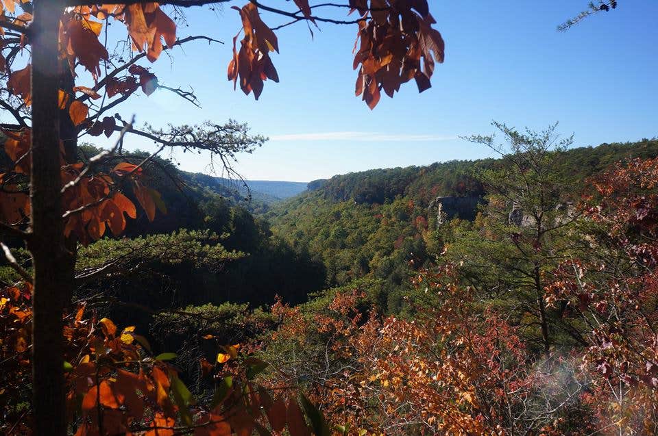 Camper-submitted photo at Savage Falls Campground — Savage Gulf State Park near Signal Mountain, TN