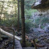 Review photo of Savage Falls Campground — Savage Gulf State Park by Lavender T., October 28, 2016