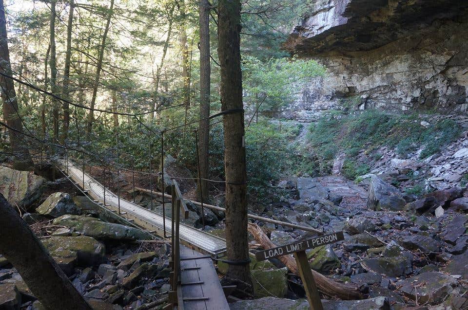 Camper submitted image from Savage Falls Campground — Savage Gulf State Park - 4