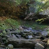 Review photo of Savage Falls Campground — Savage Gulf State Park by Lavender T., October 28, 2016