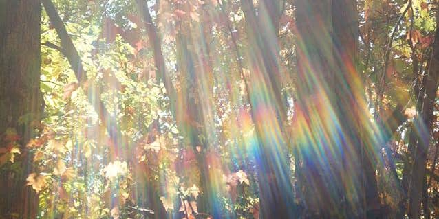 Camper submitted image from Savage Falls Campground — Savage Gulf State Park