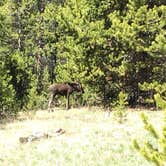Review photo of Sitting Bull Campground by Jess K., June 15, 2016