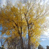 Review photo of Juniper Campground — Theodore Roosevelt National Park by Tonya T., October 30, 2016