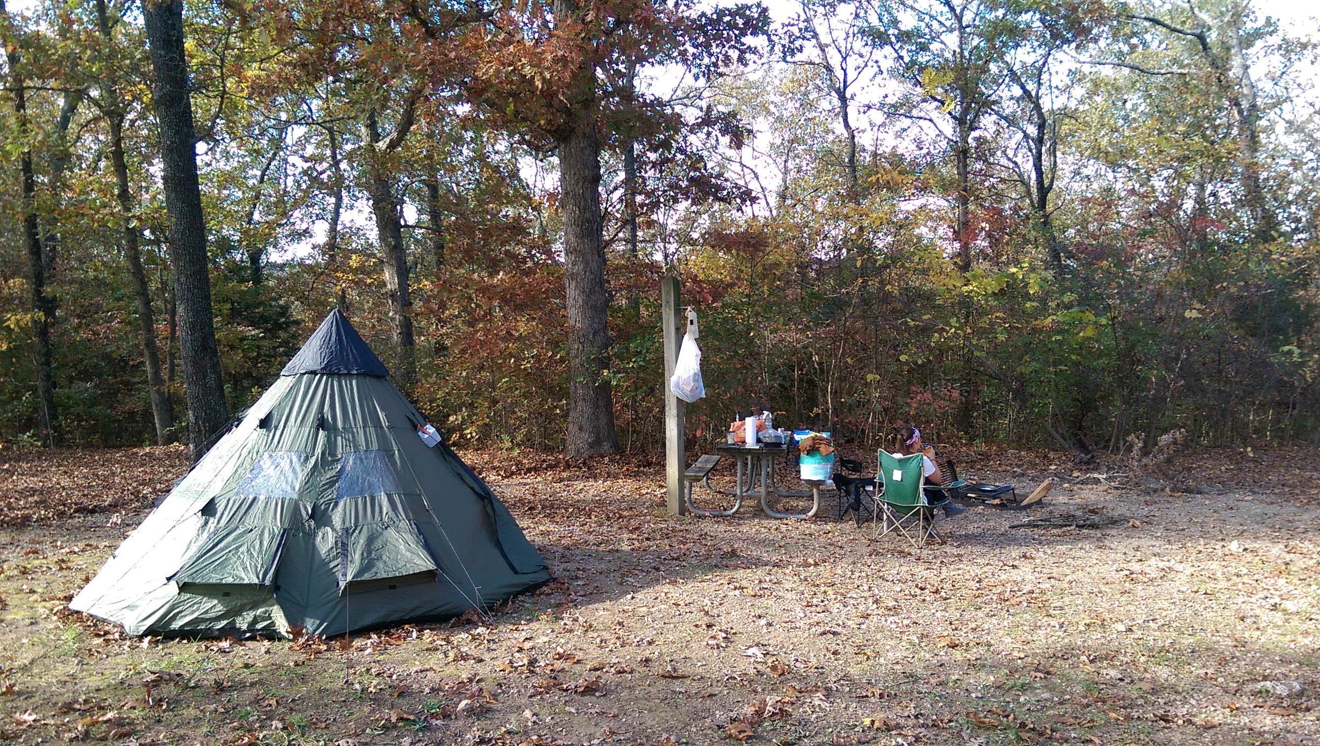 Camper submitted image from Washington State Park Campground - 4