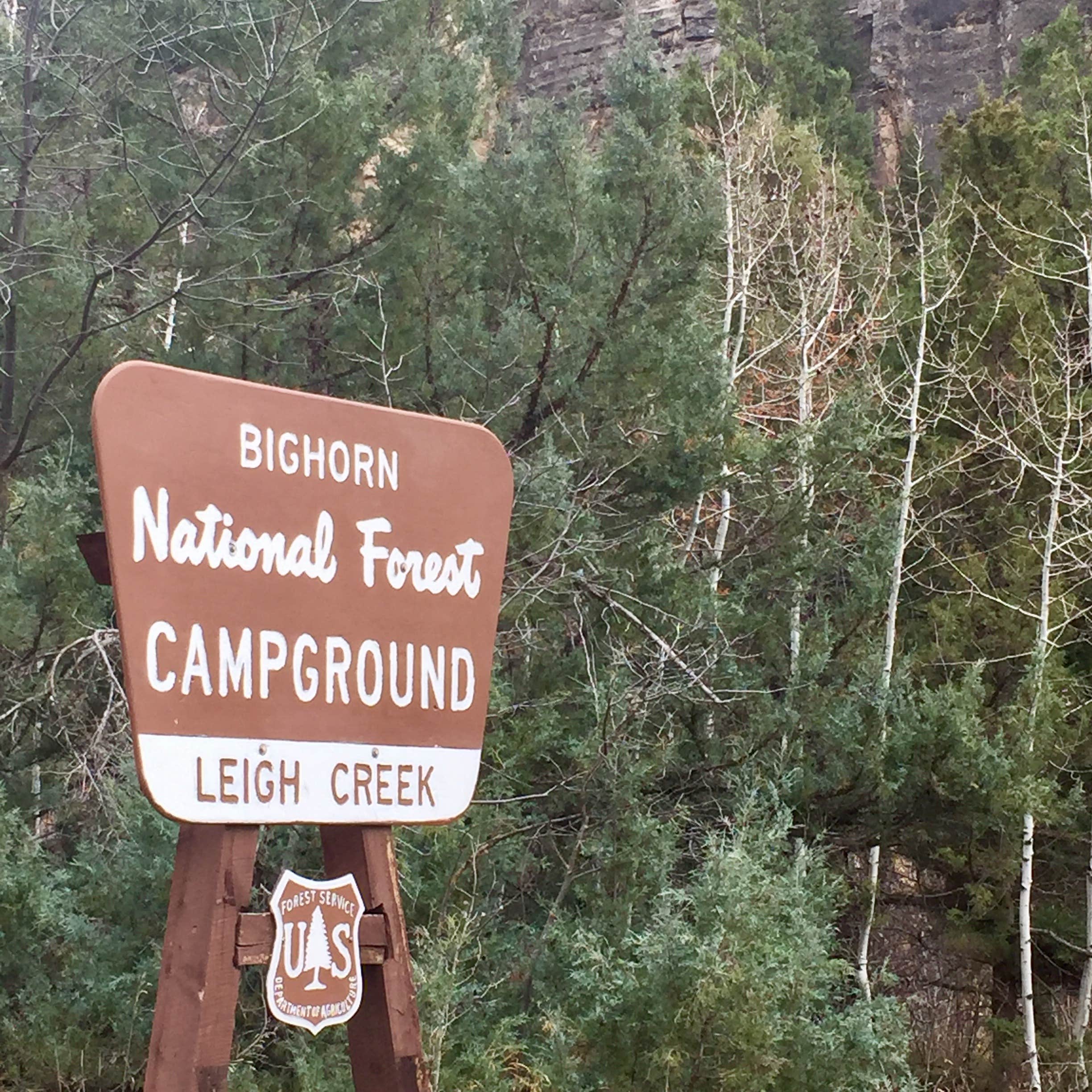 Camper submitted image from Leigh Creek Campground - 3