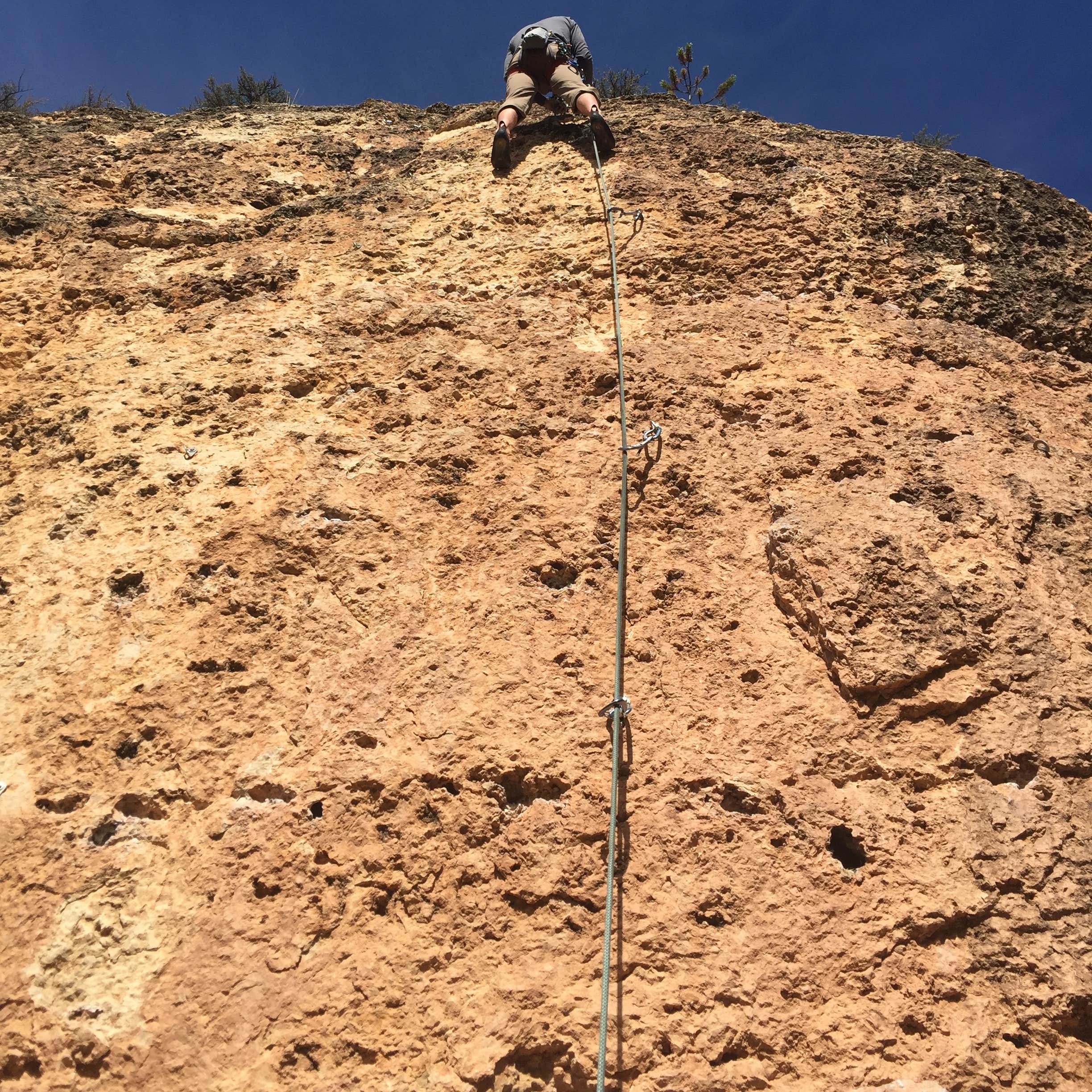 Leigh Creek Campground Camping The Dyrt