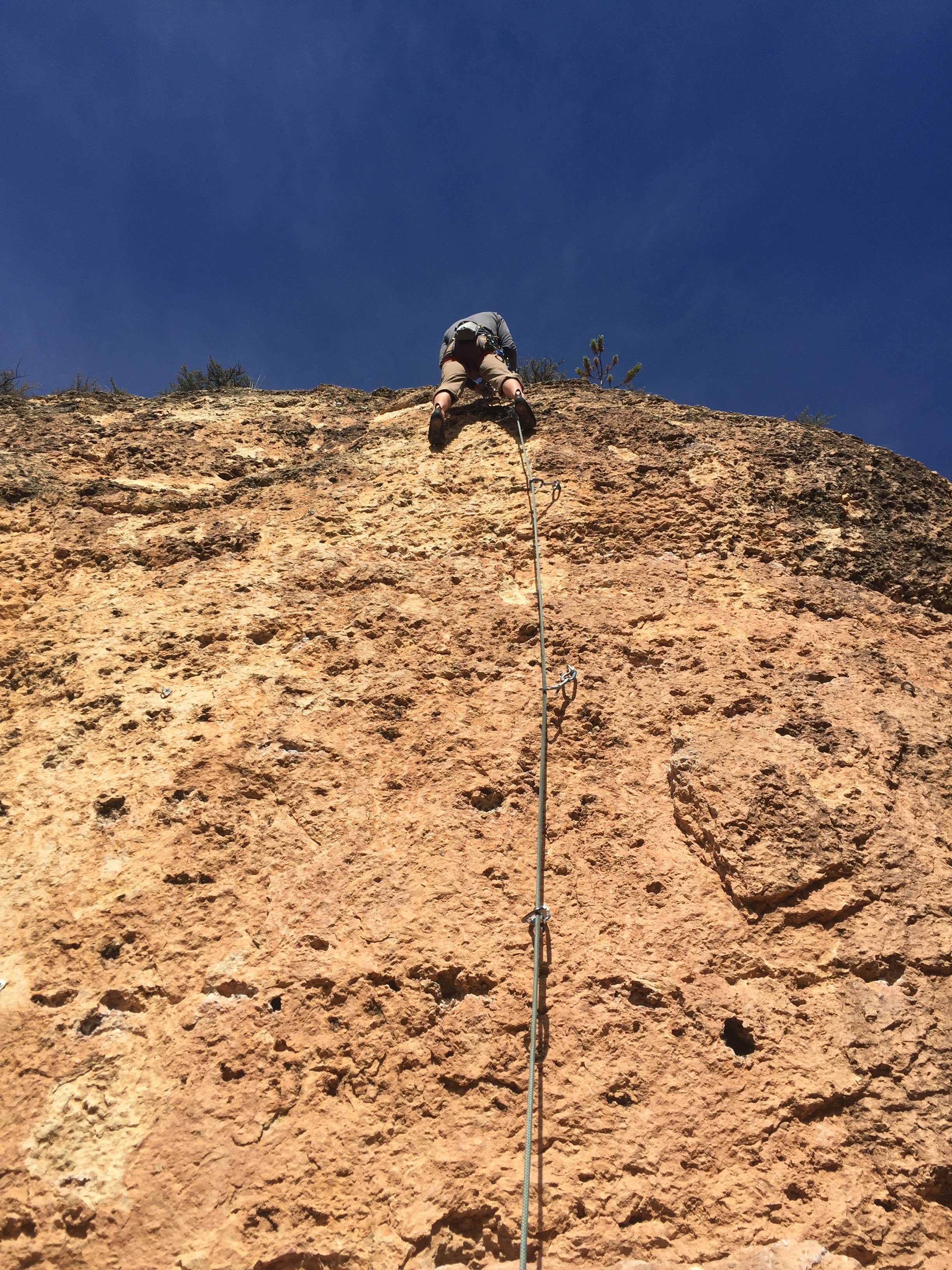 Camper submitted image from Leigh Creek Campground - 2