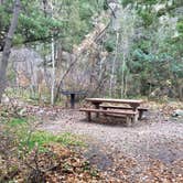 Review photo of Leigh Creek Campground by Carrie C., October 31, 2016