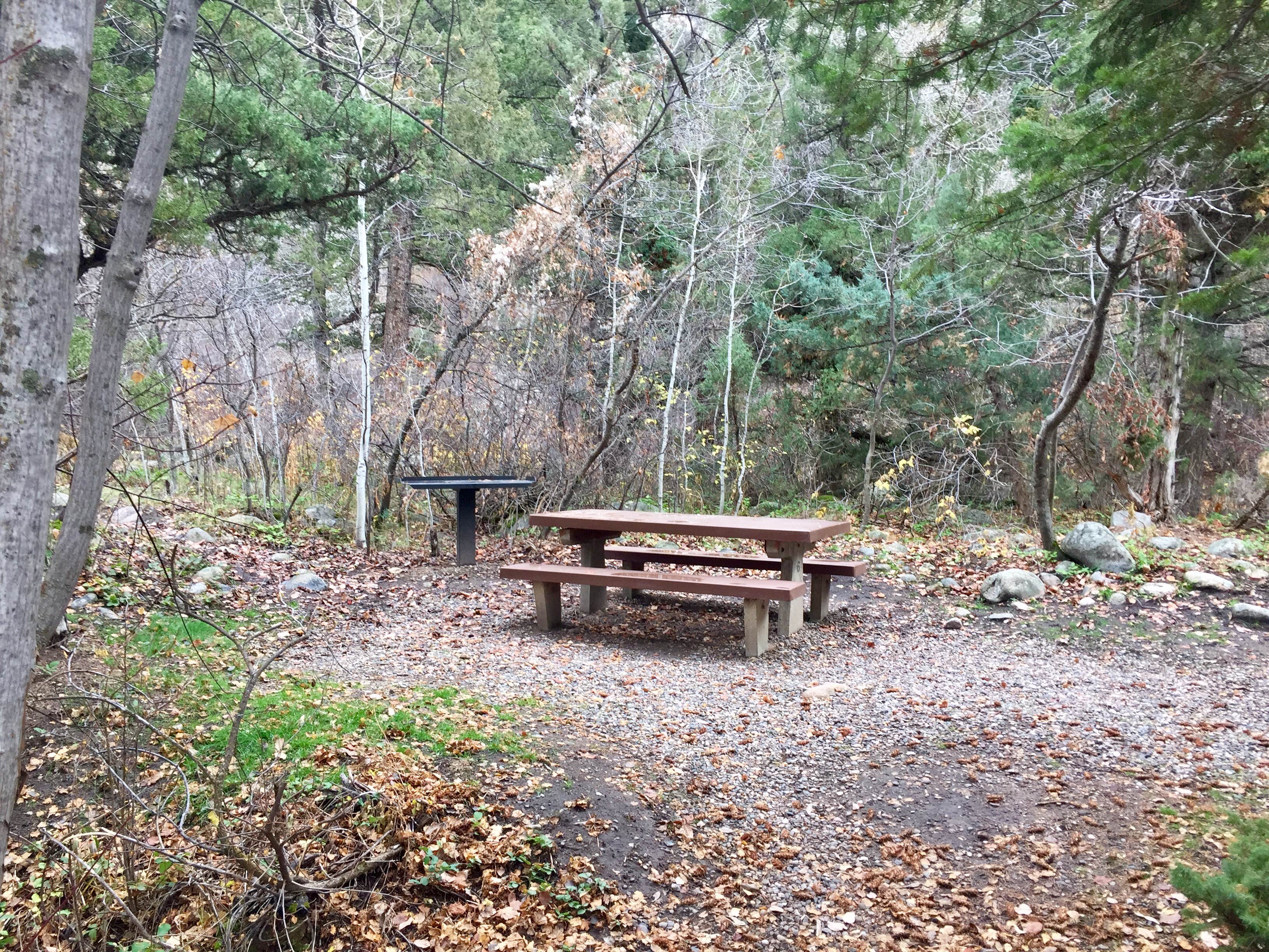 Camper submitted image from Leigh Creek Campground - 5