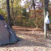 Review photo of St. Francois State Park Campground by Lindsey R., October 31, 2016