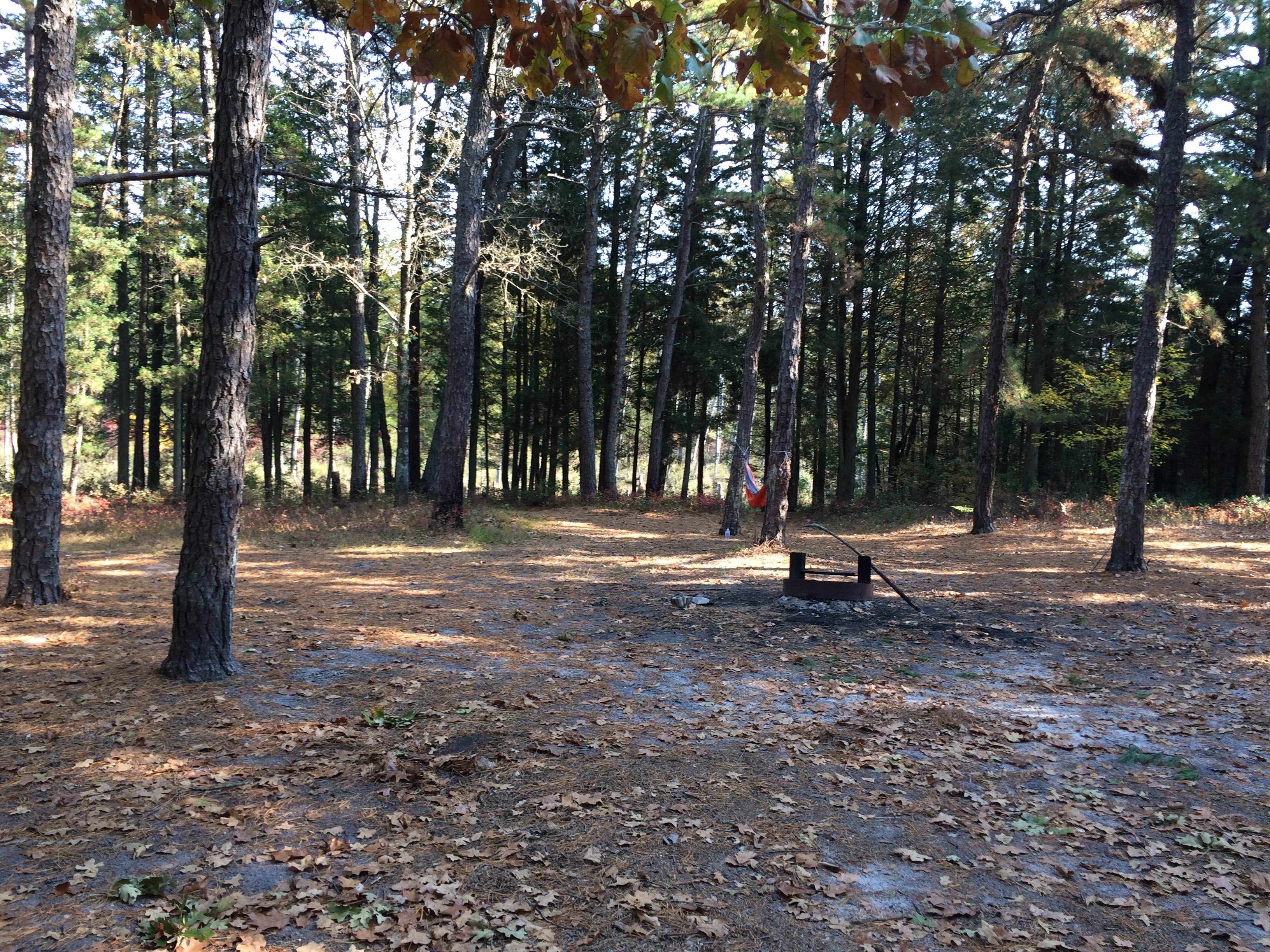 Batona camp deals