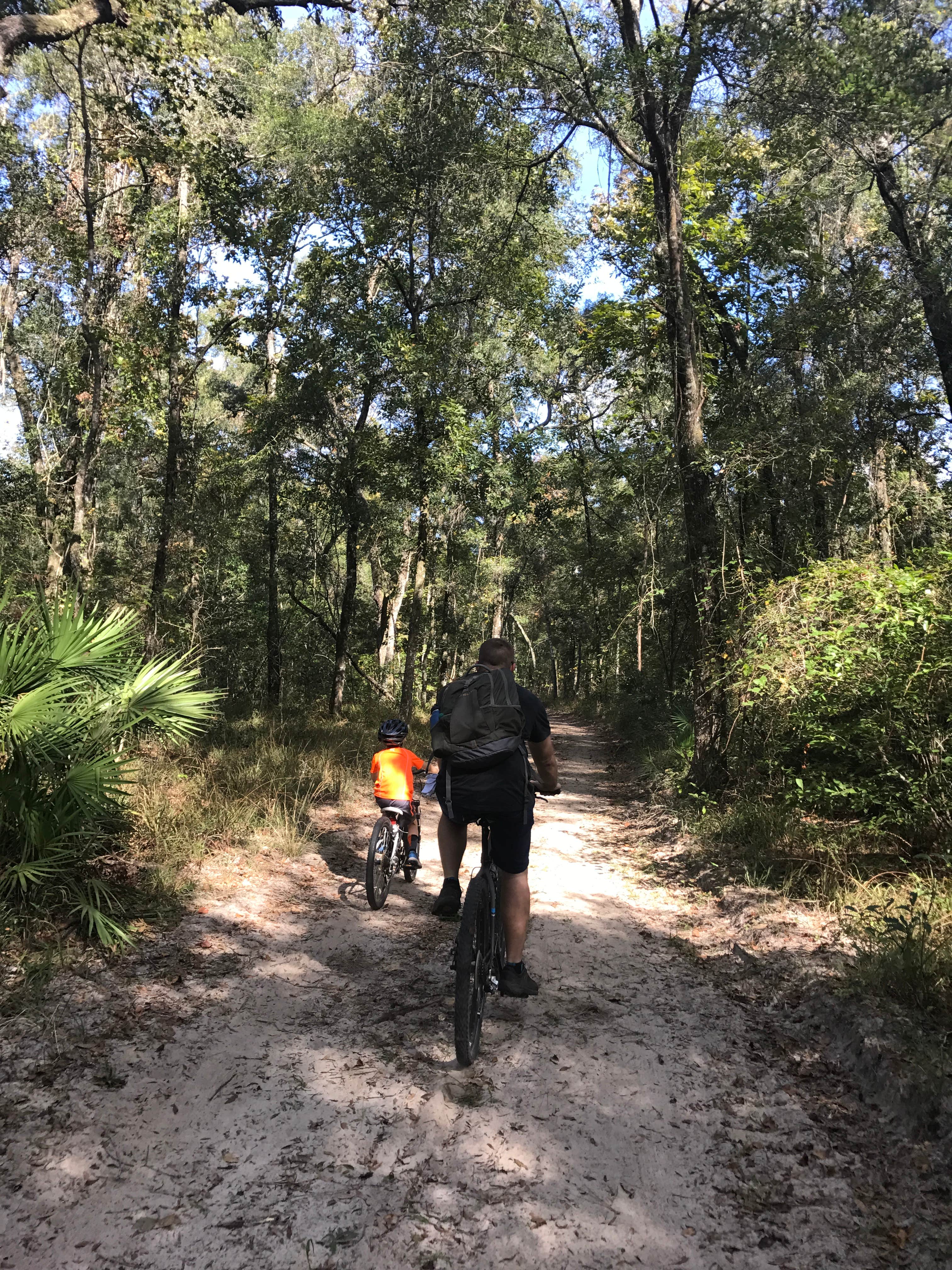 Camper submitted image from Manatee Springs State Park Campground - 2
