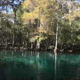 Review photo of Manatee Springs State Park Campground by Jenny S., November 1, 2016