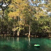 Review photo of Manatee Springs State Park Campground by Jenny S., November 1, 2016