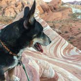 Review photo of Atlatl Rock Campground — Valley of Fire State Park by Cōllette M., November 2, 2016