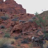 Review photo of Atlatl Rock Campground — Valley of Fire State Park by Cōllette M., November 2, 2016