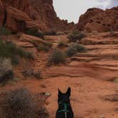 Review photo of Atlatl Rock Campground — Valley of Fire State Park by Cōllette M., November 2, 2016