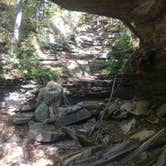 Review photo of Buzzard Roost Campground — Hoosier National Forest by Sally R., November 14, 2016