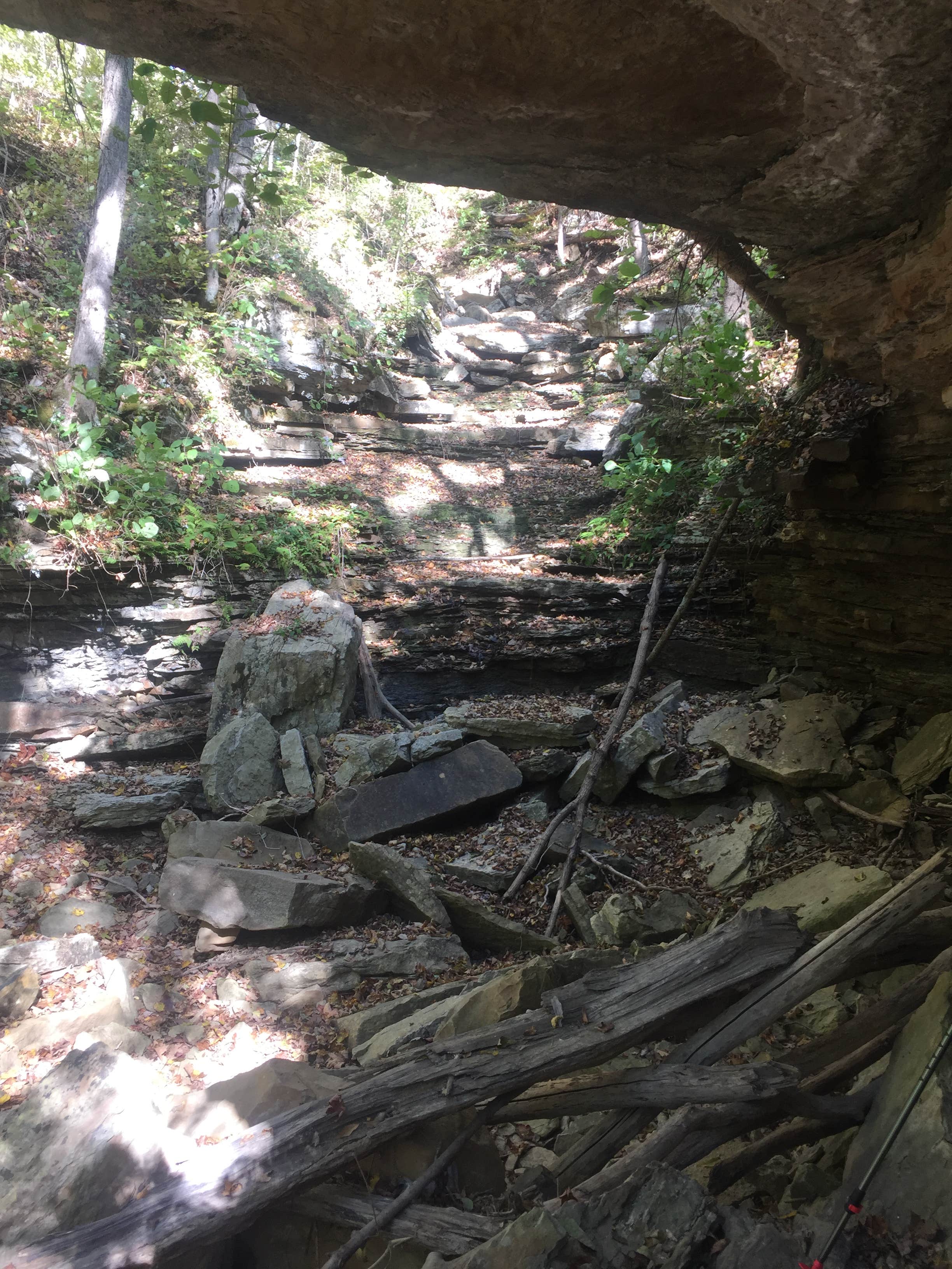 Camper submitted image from Buzzard Roost Campground — Hoosier National Forest - 2